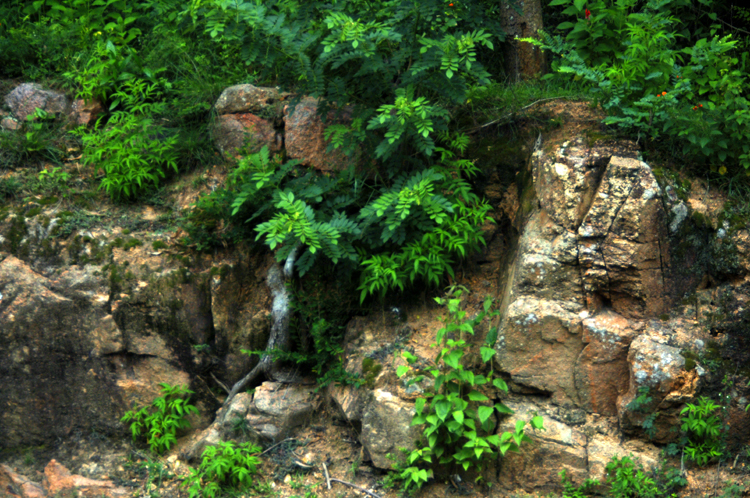 Infinite Stone Rhythms ~ Cosmos ~ 35-1