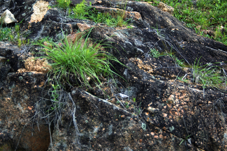 Infinite Stone Rhythms ~ Cosmos ~ 36-7