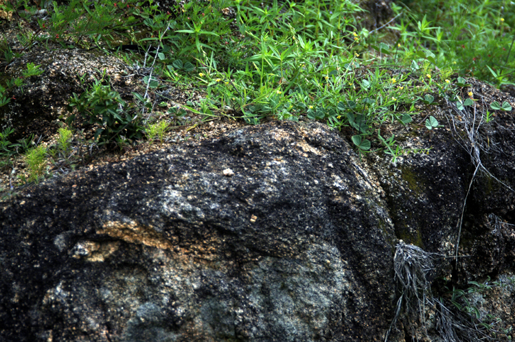 Infinite Stone Rhythms ~ Cosmos ~ 36-8