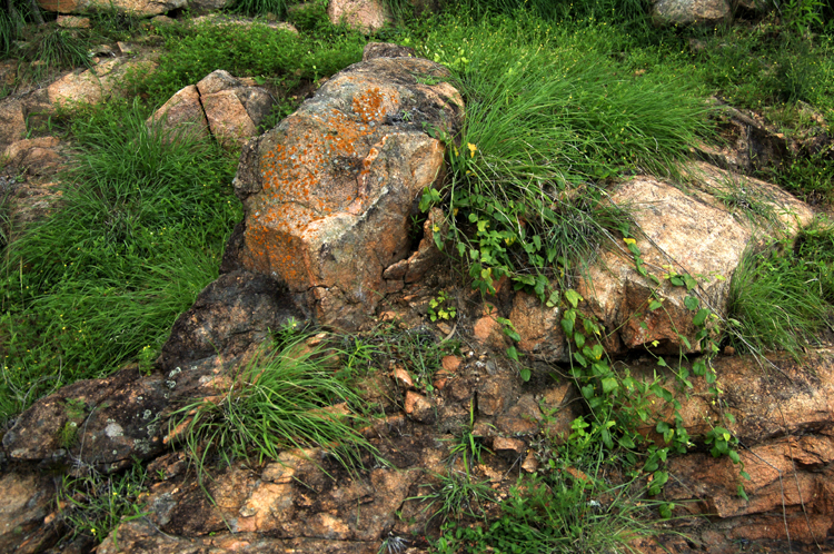 Infinite Stone Rhythms ~ Cosmos ~ 37-6