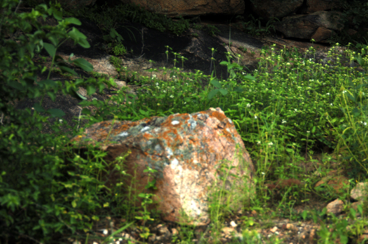 Infinite Stone Rhythms ~ Cosmos ~ 37-9