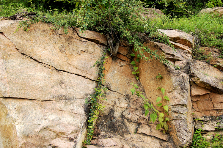 Infinite Stone Rhythms ~ Cosmos ~ 38-3