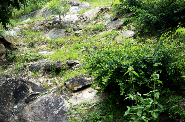 Infinite Stone Rhythms ~ Cosmos ~ 38-5