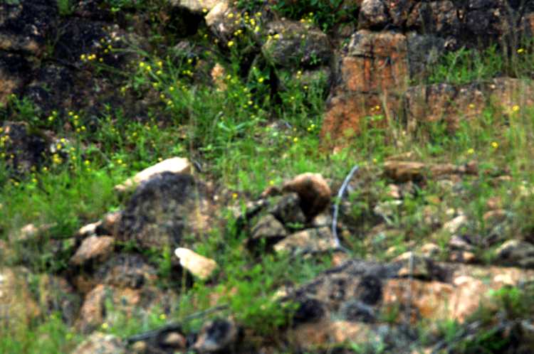 Infinite Stone Rhythms ~ Cosmos ~ 39-7