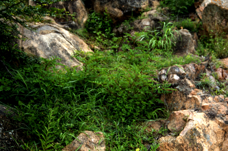 Infinite Stone Rhythms ~ Cosmos ~ 39-10