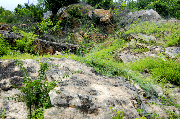 Infinite Stone Rhythms ~ Cosmos ~ 40-1