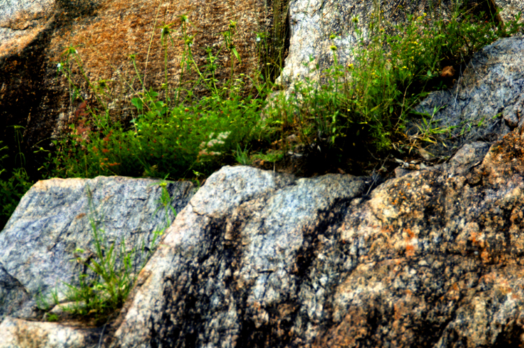 Infinite Stone Rhythms ~ Cosmos ~ 40-3