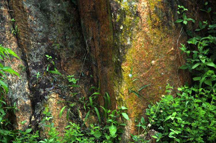 Infinite Stone Rhythms ~ Cosmos ~ 40-4