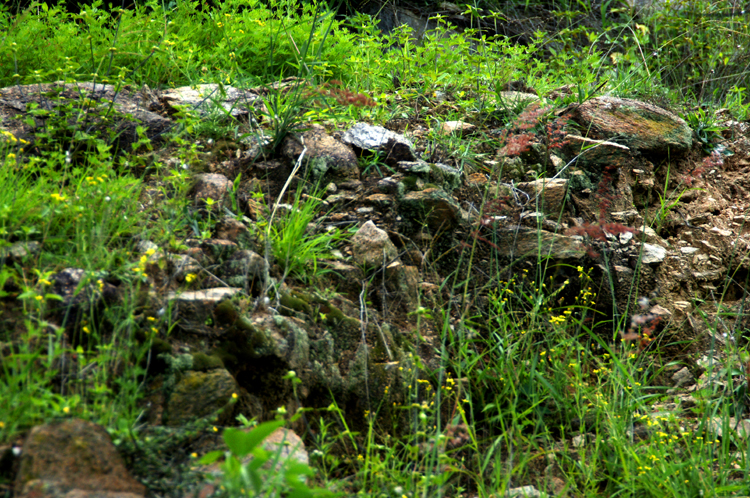 Infinite Stone Rhythms ~ Cosmos ~ 40-5