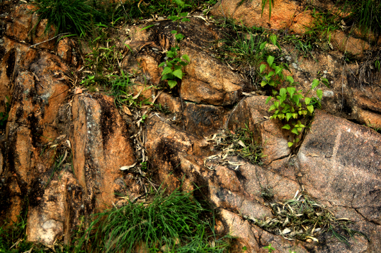 Infinite Stone Rhythms ~ Cosmos ~ 41-11