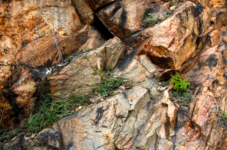 Infinite Stone Rhythms ~ Cosmos ~ 42-10