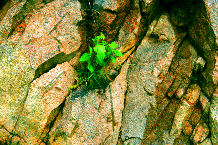 Infinite Stone Rhythms ~ Cosmos ~ 6-1