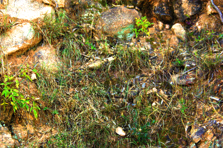 Infinite Stone Rhythms ~ Cosmos ~ 9-2