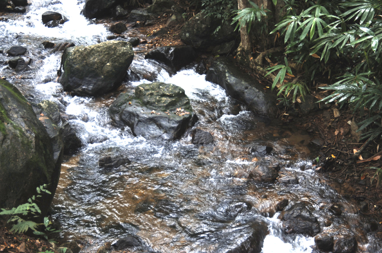 Infinite Seamless Stone Water Rhythms  ~ Cosmos ~ Meta-Universe ~ 1#1