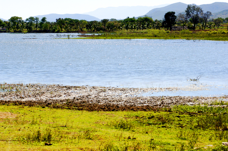 LG ~ 1#6 ~ Karnataka, India, Earth, Cosmos