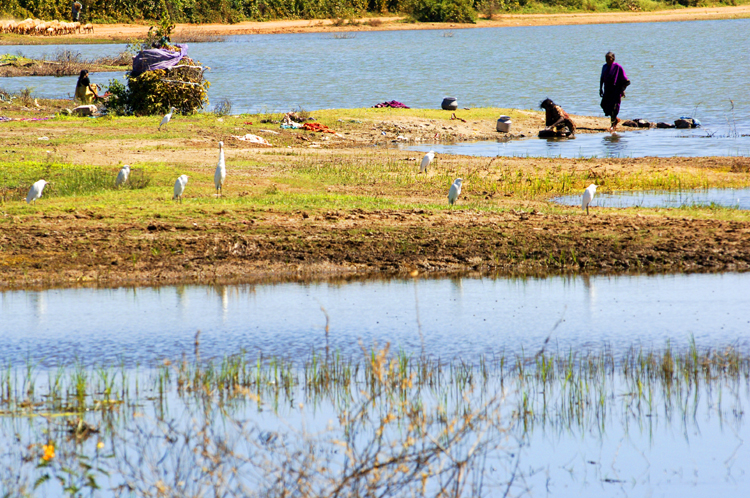 LG ~ 1#7 ~ Karnataka, India, Earth, Cosmos