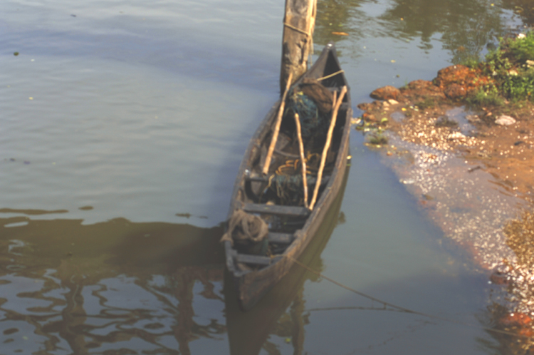 LG ~ 1#8 ~ Kerala, India, Earth, Cosmos