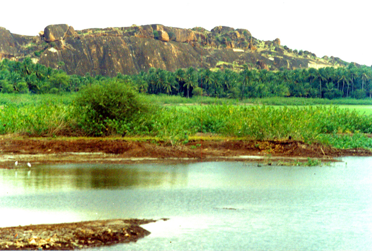 LG ~ 1#9 ~ Tenkashi ~ Tamil Nadu, India, Earth, Cosmos