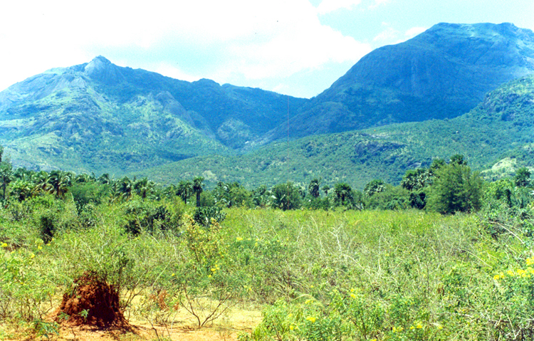 LG ~ 1#11 ~ Tenkashi ~ Tamil Nadu, India, Earth, Cosmos