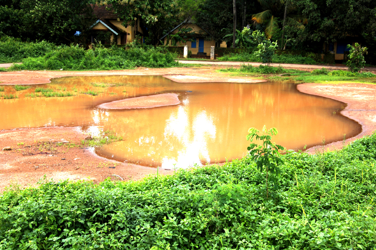 LG ~ 2#1~ Near Chalakudi Thrissur Keralam