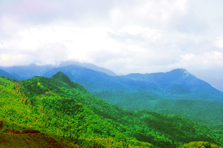 LM ~ 1#7 ~ Ponmudi