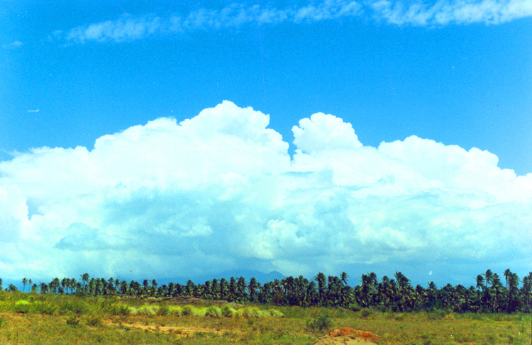 Landscape ~ Tenkashi, India