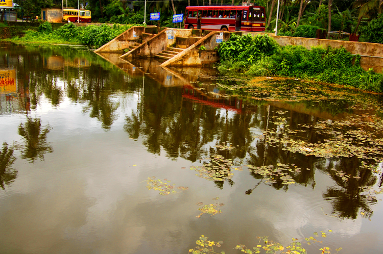 Road ~ Pond ~ Thrissur, Kerala, India