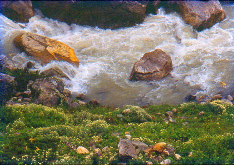 H~0~ 1#3 Most Probably It Is Mandakini flowing down from Ancient Ageless Eternal KedarNath ~   Aum Shambho Mahaa Devaaya ! Aum Hara Hara Mahaa Kaala Bhairavaaya KedarNathaaya ~ 