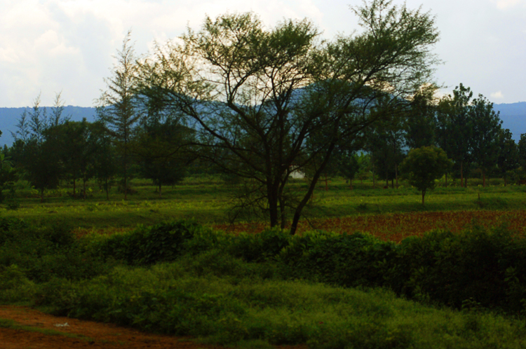 Bandipur ~ 1#2