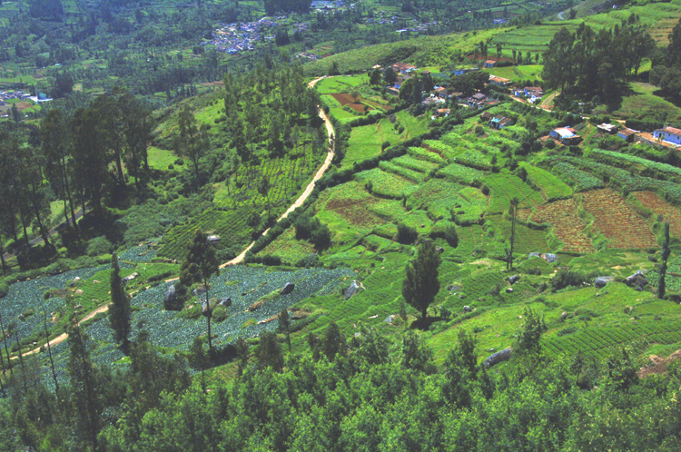 Ooty # 1~3