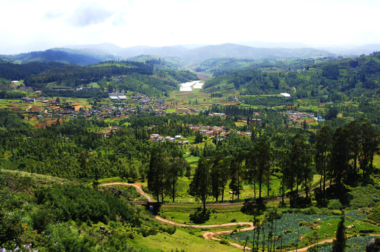 Ooty # 1~5