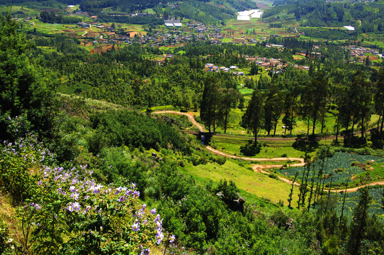 Ooty # 1~6