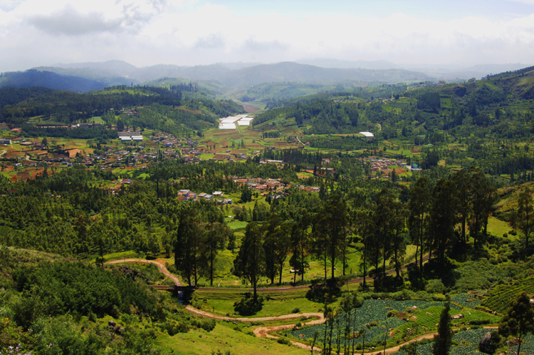Ooty # 1~9
