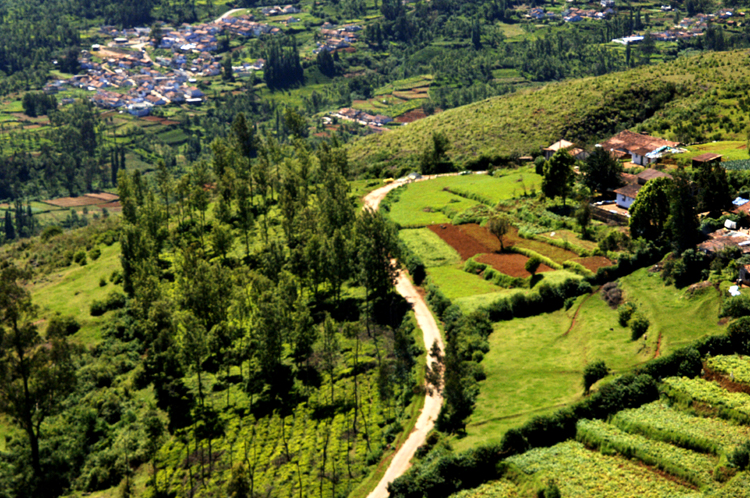 Ooty # 1~11