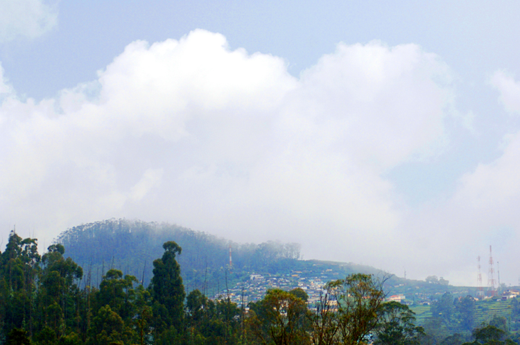 Ooty # 10 ~ 2