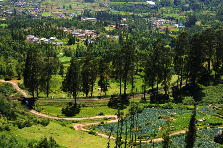 Ooty # 2~2