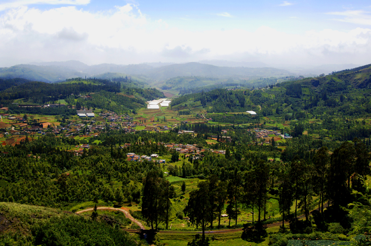 Ooty # 2~3