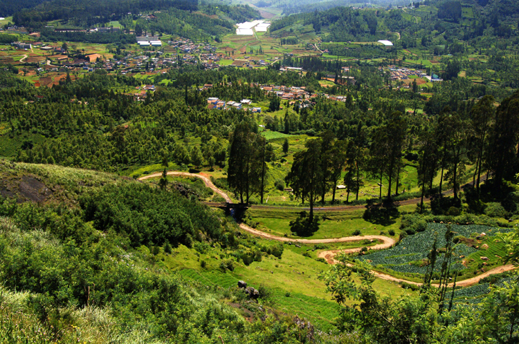 Ooty # 2~4
