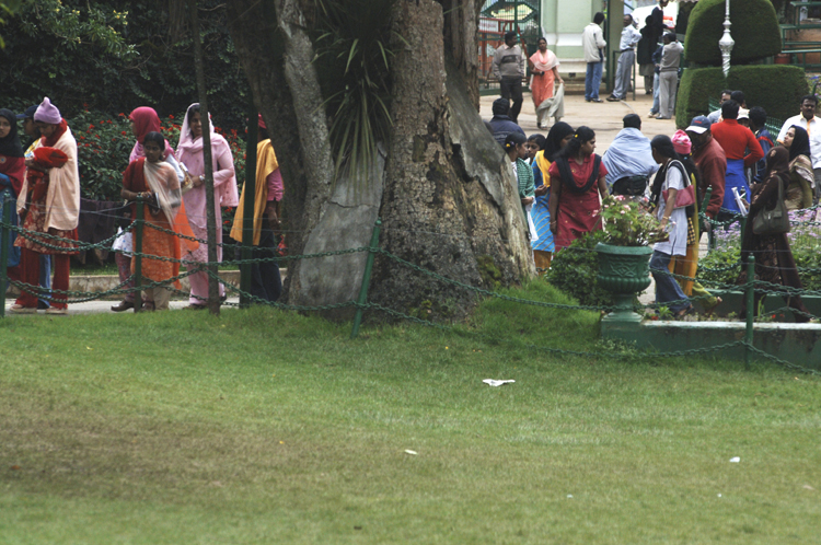 Ooty # 8 ~ 7 ~ Botanical Garden ~